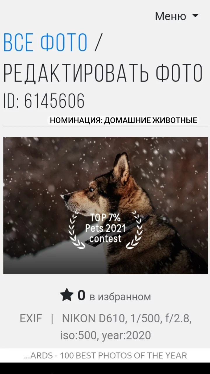 Дипломы. Фотограф Крещение Венчание Москва