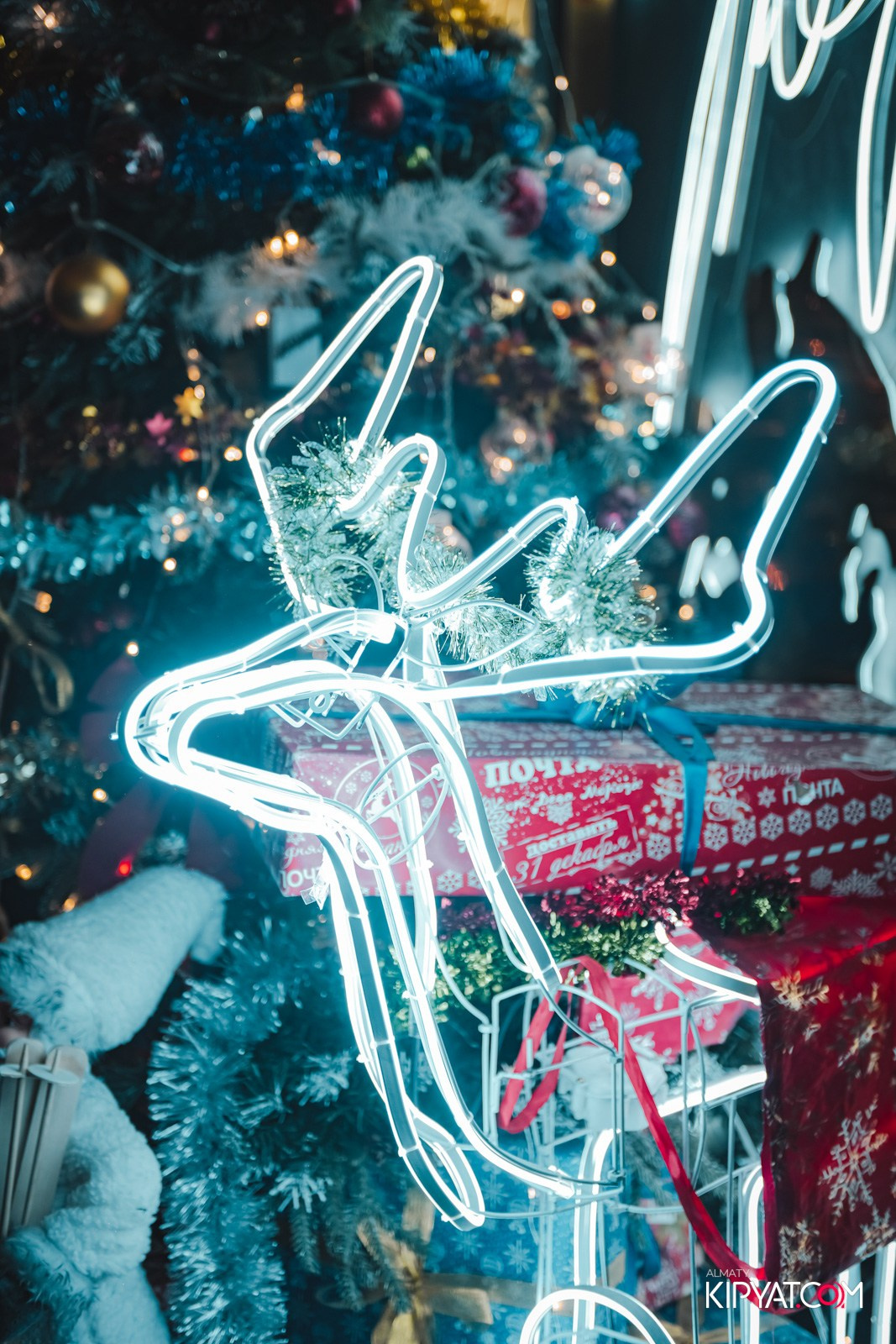 УХО И МЕДВЕДЬ НА САИНА. КИПЯТКОМ АЛМАТЫ!