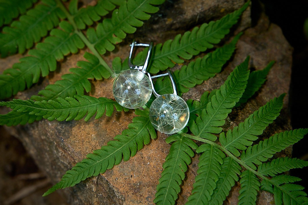 Пердметная фотография. Контент фотография. Краснодар