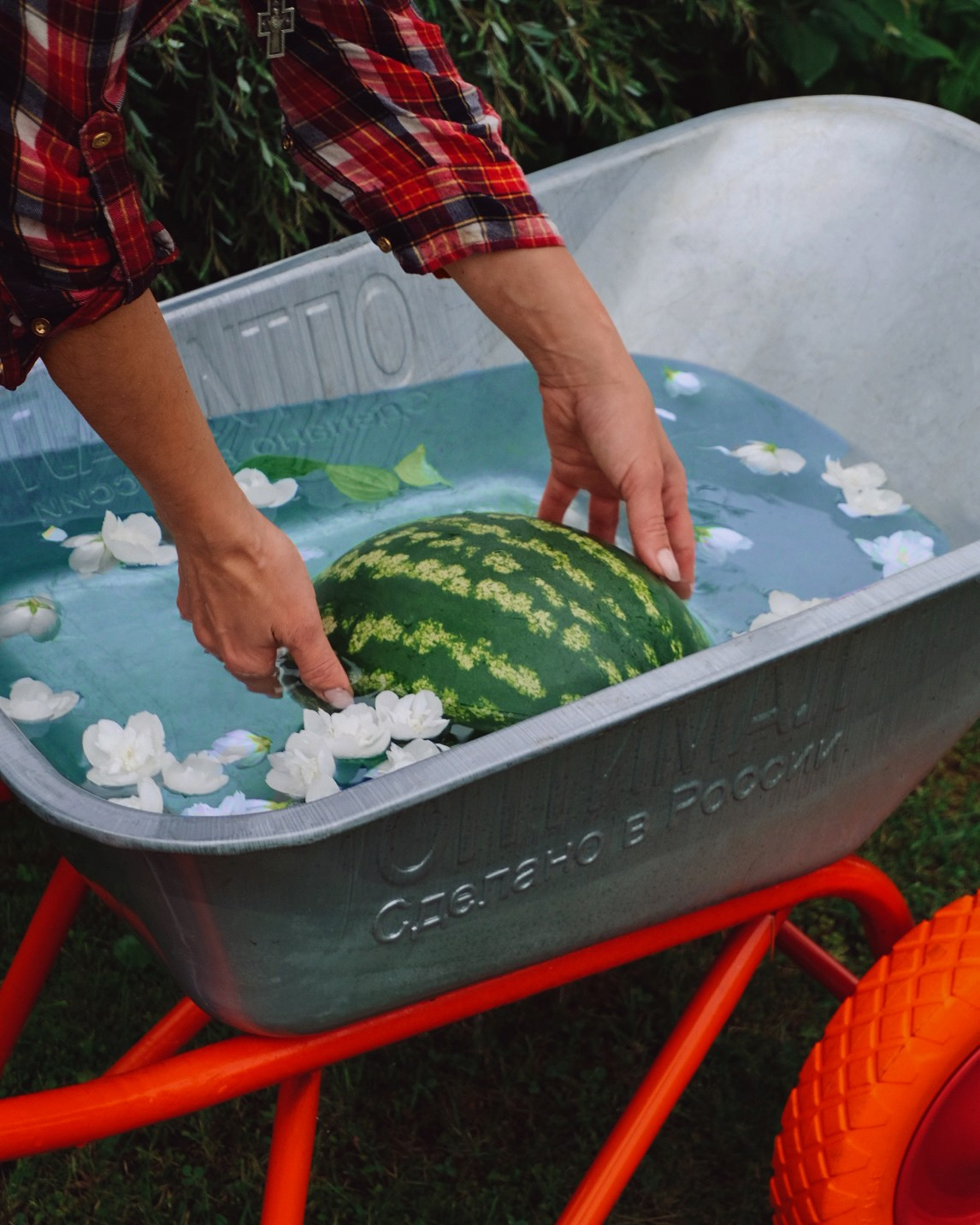 Мой мир. LAMOURCEVA | fashion photographer