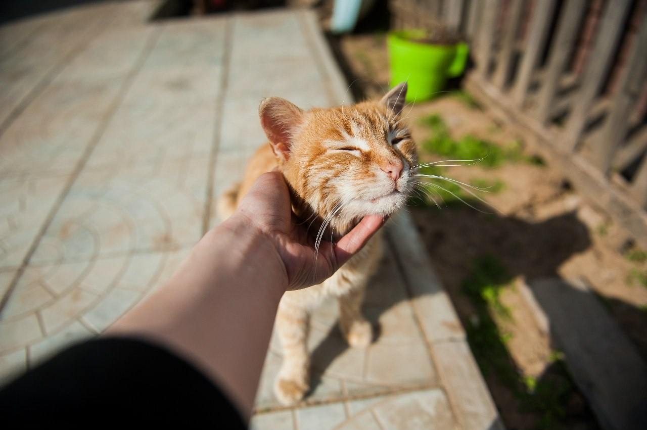 МОЙ 2014. Фотограф