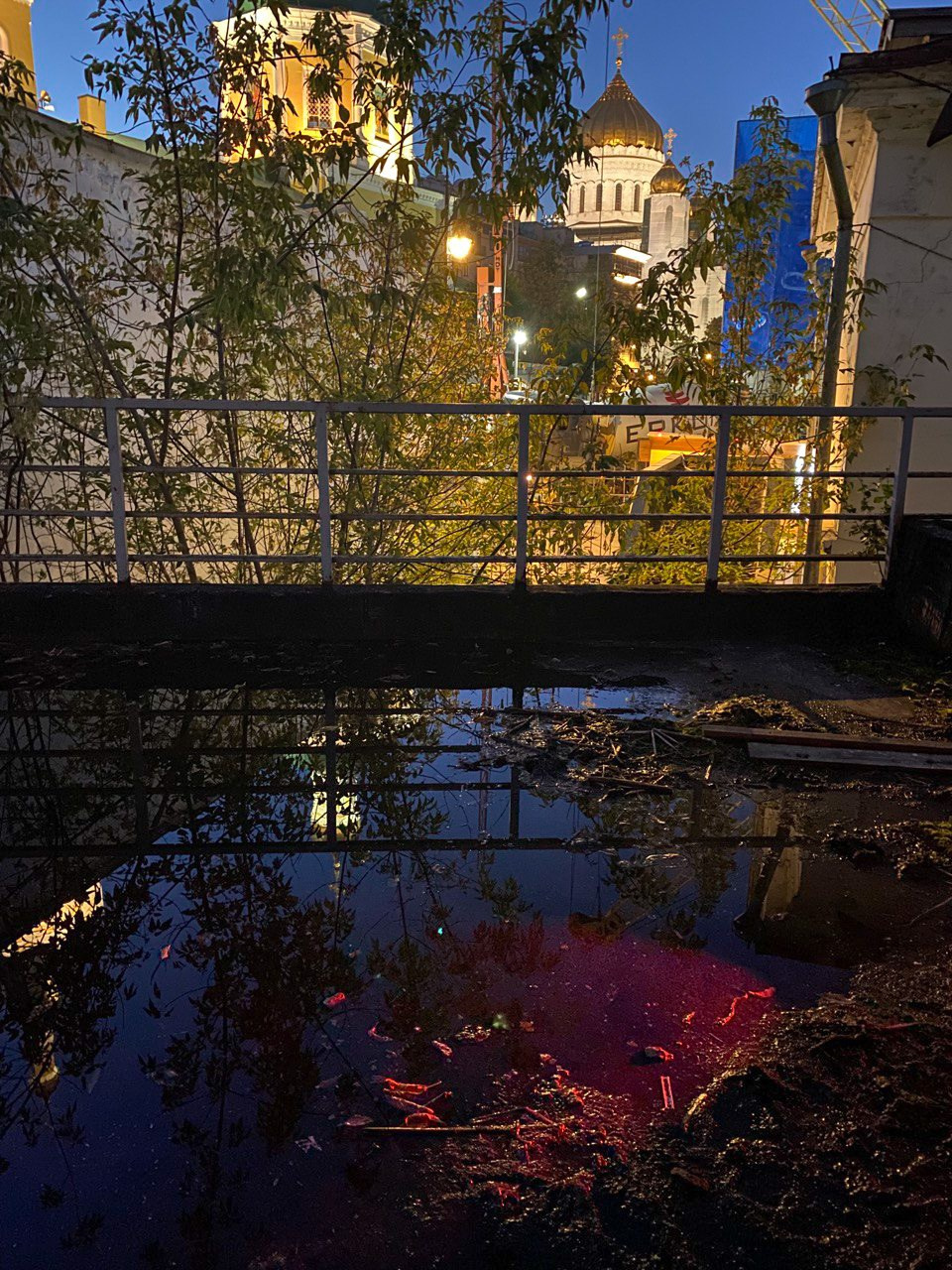 “all that’s left” at Logovo by Olga Mikhalchuk. Ольга Михальчук, художница и фотограф