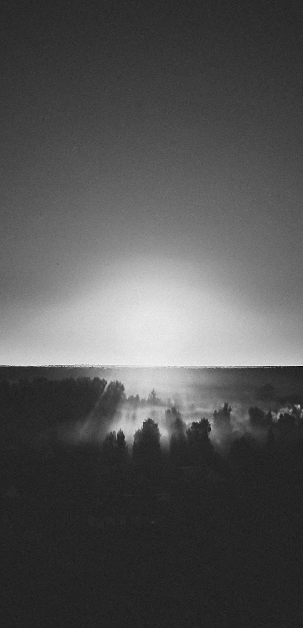 Международная онлайн-фотошкола Сергея Рожнова