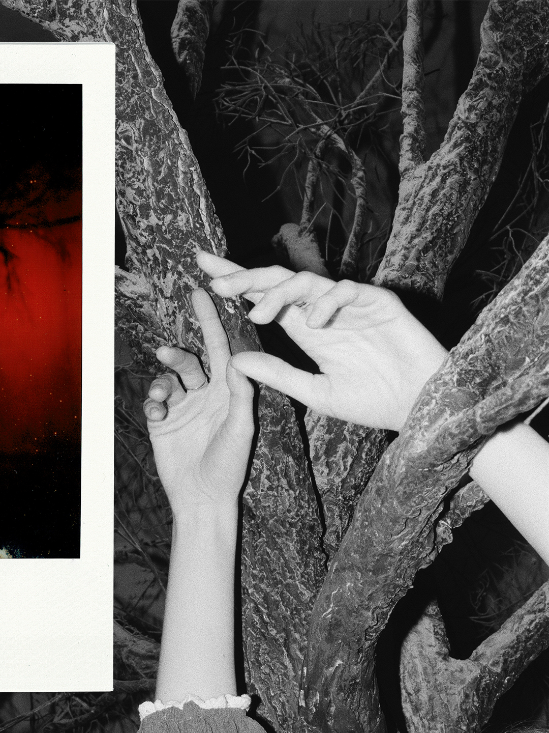 <T>. Плёночный фотограф Москва, Саша Звук