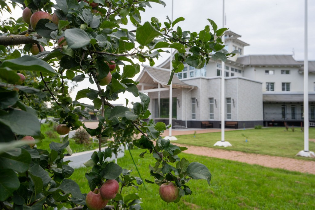 Выезд во дворец для импровизаторов. Импров Бюро