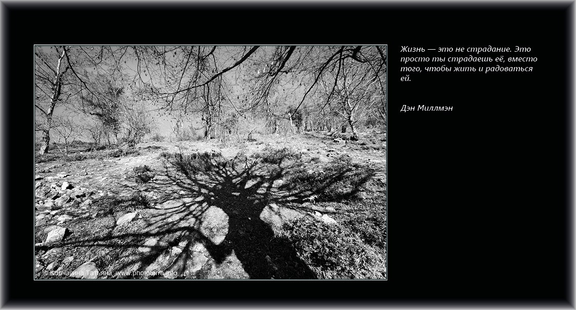 Совет дня — ориентир. Татьяна Корчагина. Фотограф, художник. Обучение фотографии