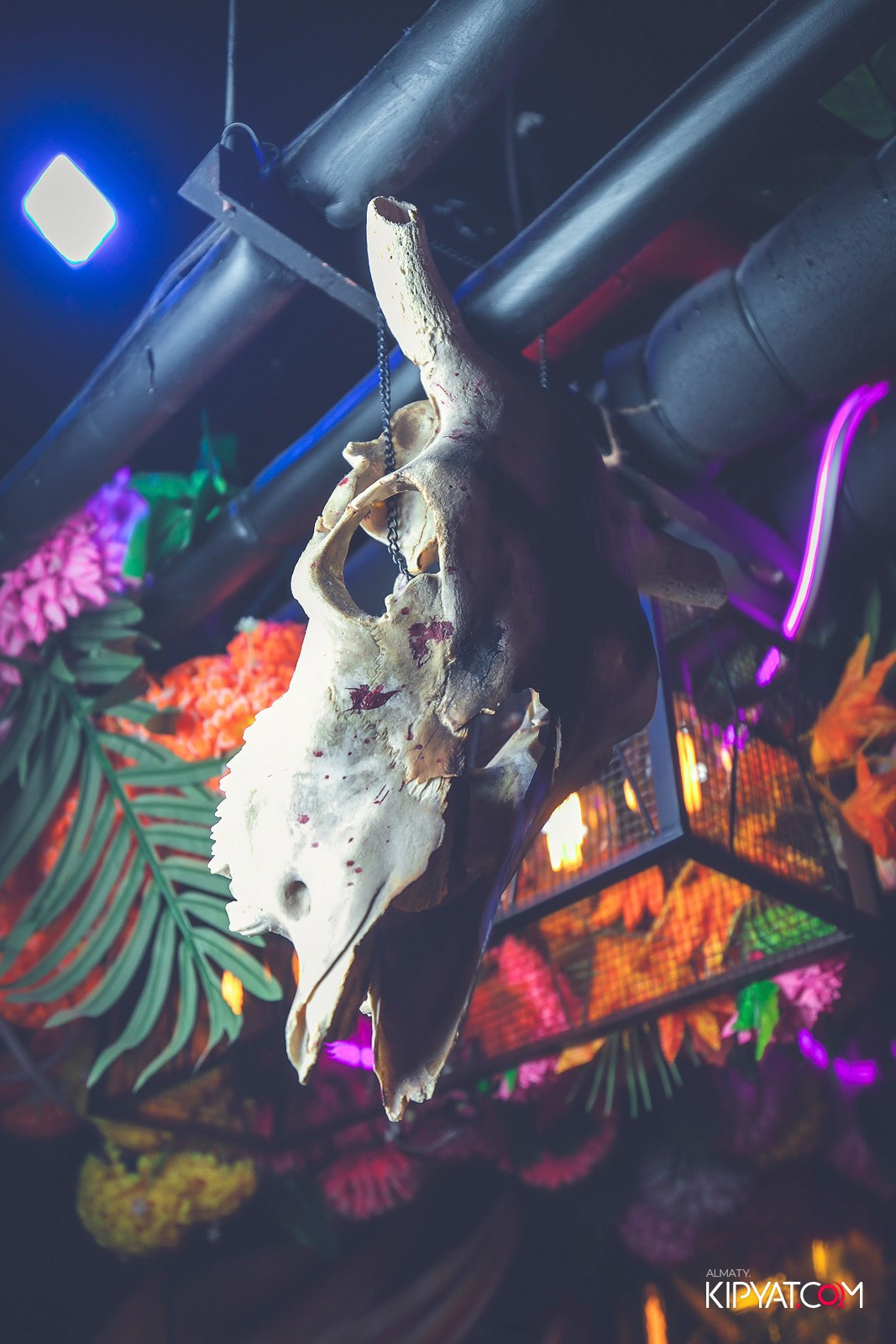 VICTORY MEXICO. КИПЯТКОМ АЛМАТЫ!