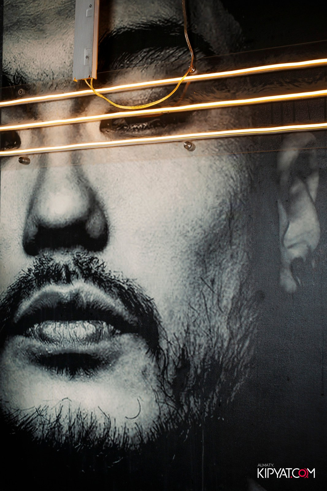 УХО И МЕДВЕДЬ НА ГАГАРИНА. КИПЯТКОМ АЛМАТЫ!