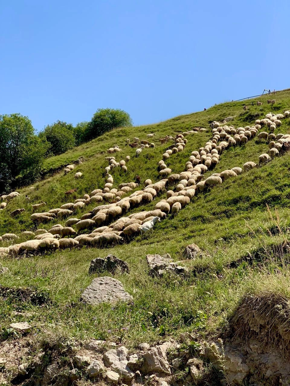 Дагестан с детьми (фототур)