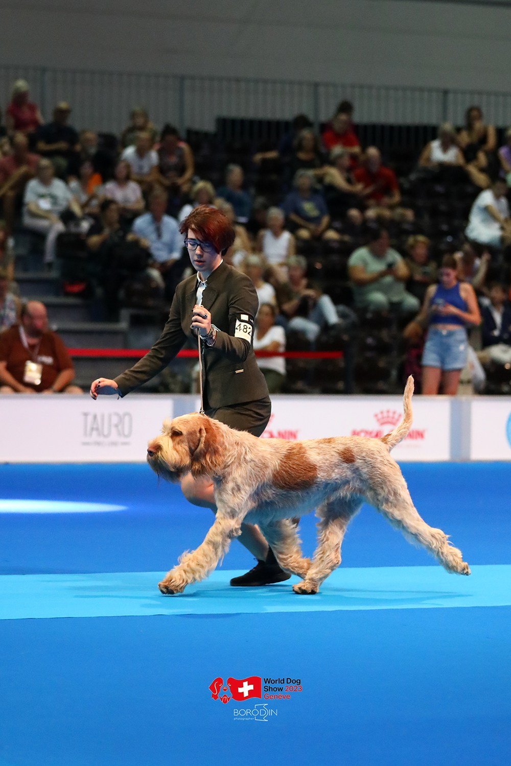 24-27.08.2023 WDS Geneva. Фотограф Дмитрий Бородин