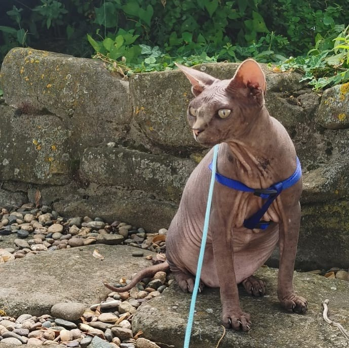 Anka`s Instagram. Заставка