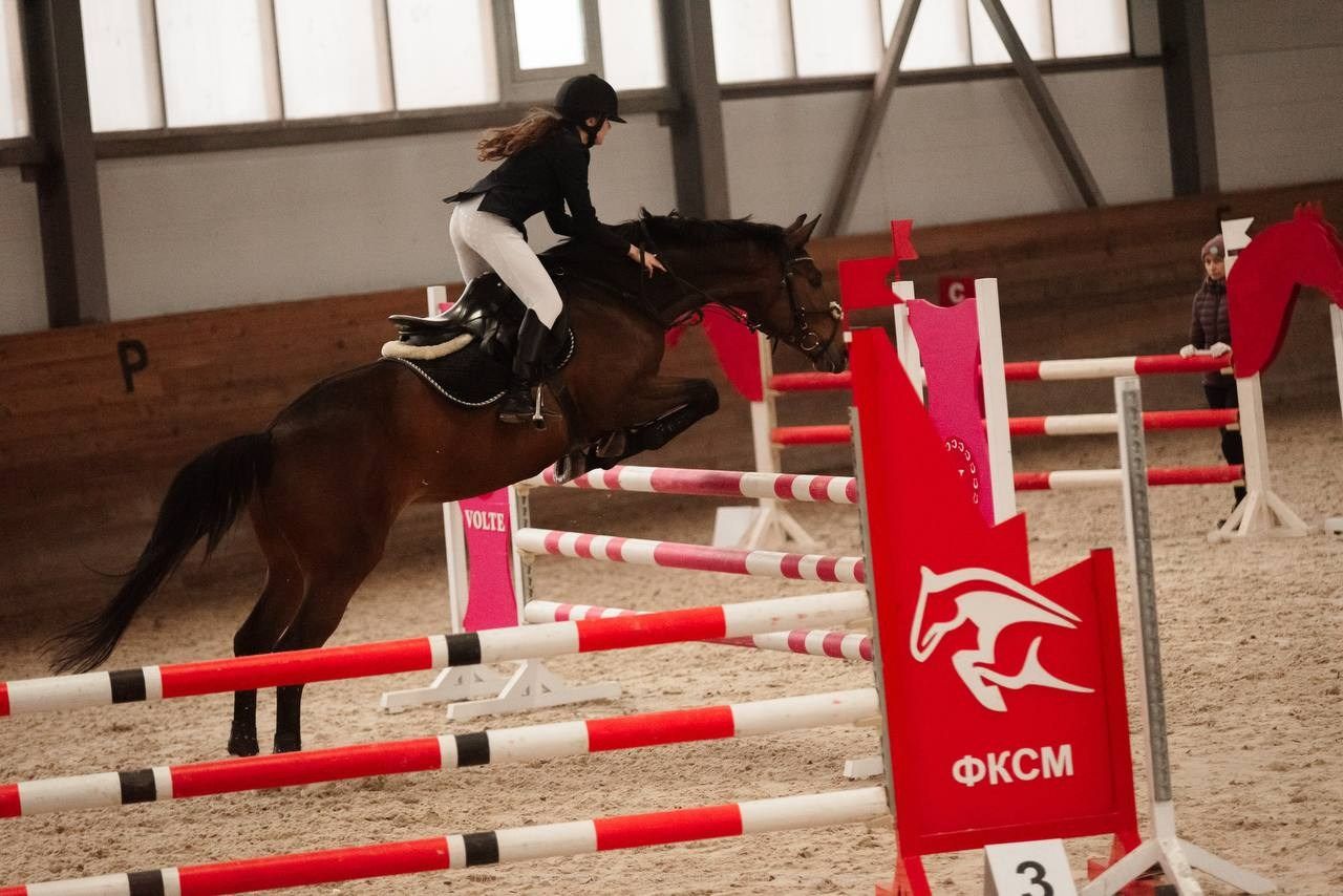 ВЕСЕННИЙ КУБОК МКК «ВОЛЬТ» ПО КОНКУРУ. Конный фотограф Куракина Дарья • Фотосессии с лошадьми