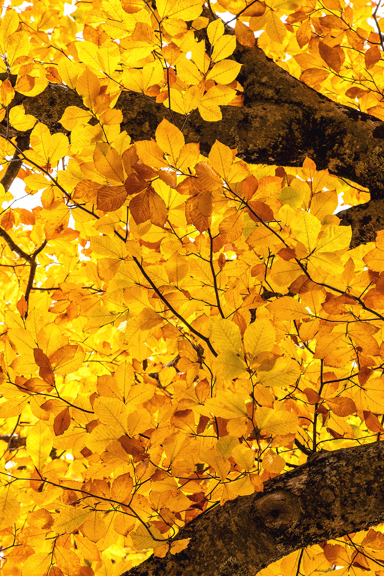 Карачаево-Черкессия | Фотограф Дмитрий Купрацевич. Дмитрий Купрацевич профессиональный пейзажный и travel-фотограф