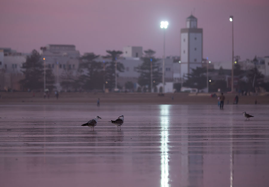 Марокко | Фотограф Дмитрий Купрацевич. Дмитрий Купрацевич профессиональный пейзажный и travel-фотограф