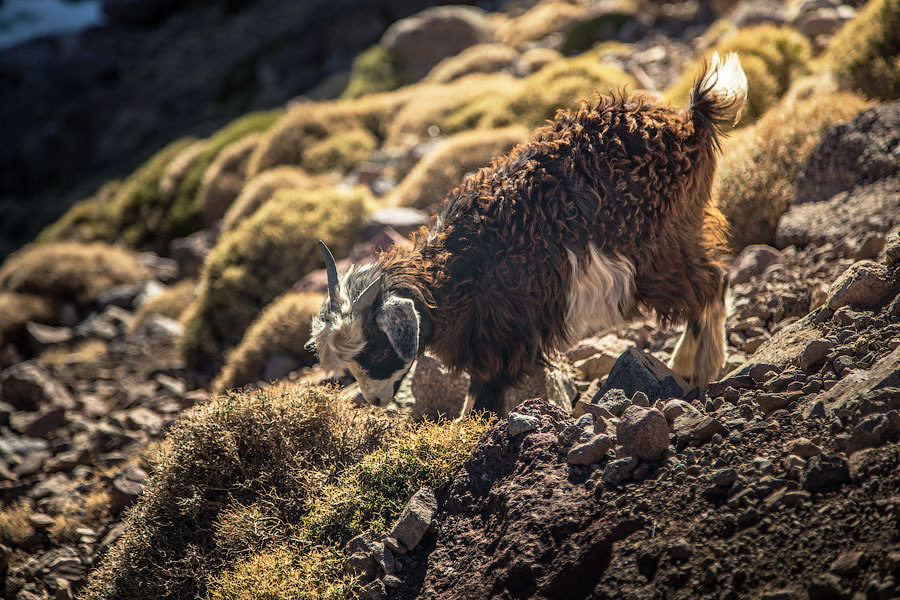 Марокко | Фотограф Дмитрий Купрацевич. Дмитрий Купрацевич профессиональный пейзажный и travel-фотограф