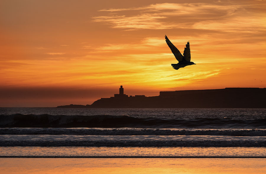 Марокко | Фотограф Дмитрий Купрацевич. Дмитрий Купрацевич профессиональный пейзажный и travel-фотограф