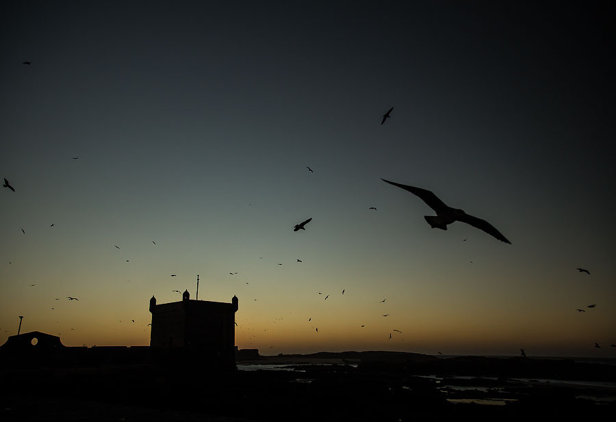 Марокко | Фотограф Дмитрий Купрацевич. Дмитрий Купрацевич профессиональный пейзажный и travel-фотограф