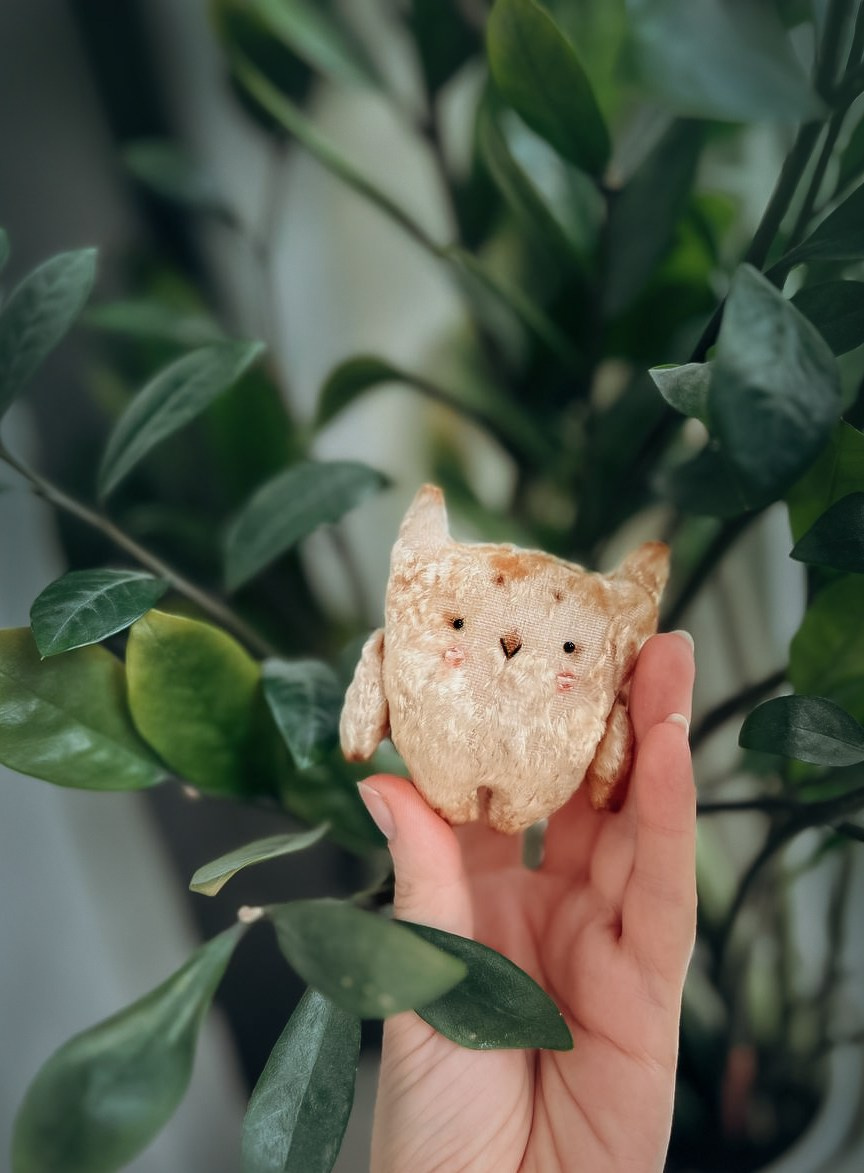 Тедди. Фотограф Ольга Сальманович