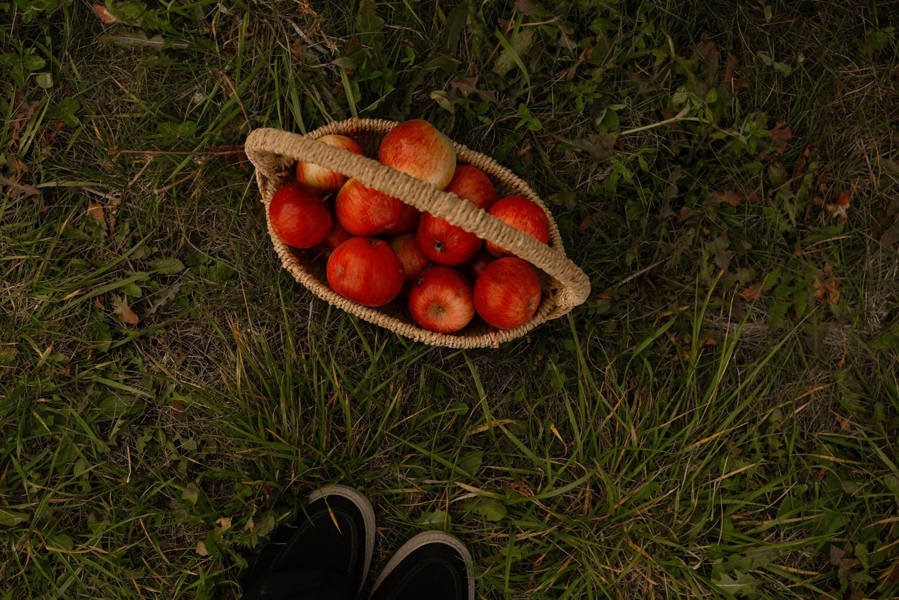 Отзывы. Фотограф Татьяна Семенова