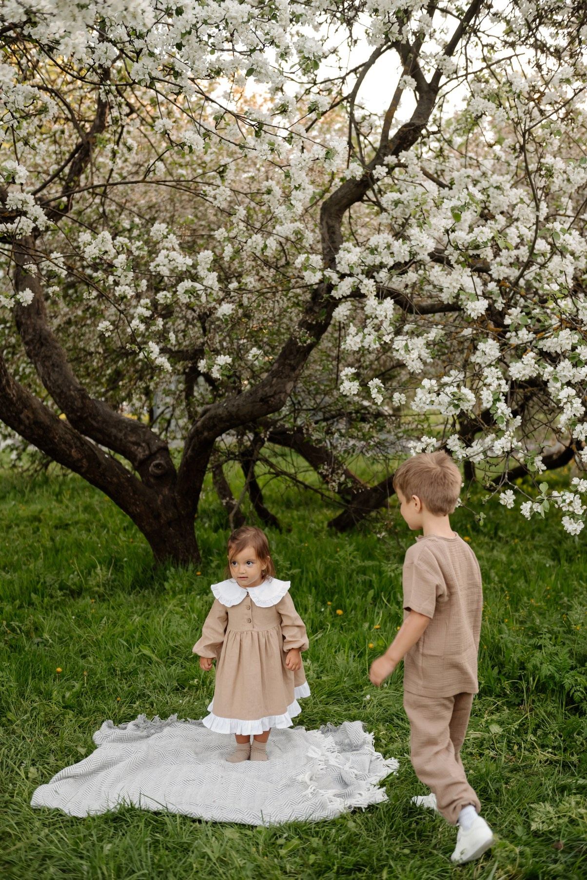 Яблоневое цветение. Свадебный и сеейный фотограф в Санкт-Петербурге Елена Худякова