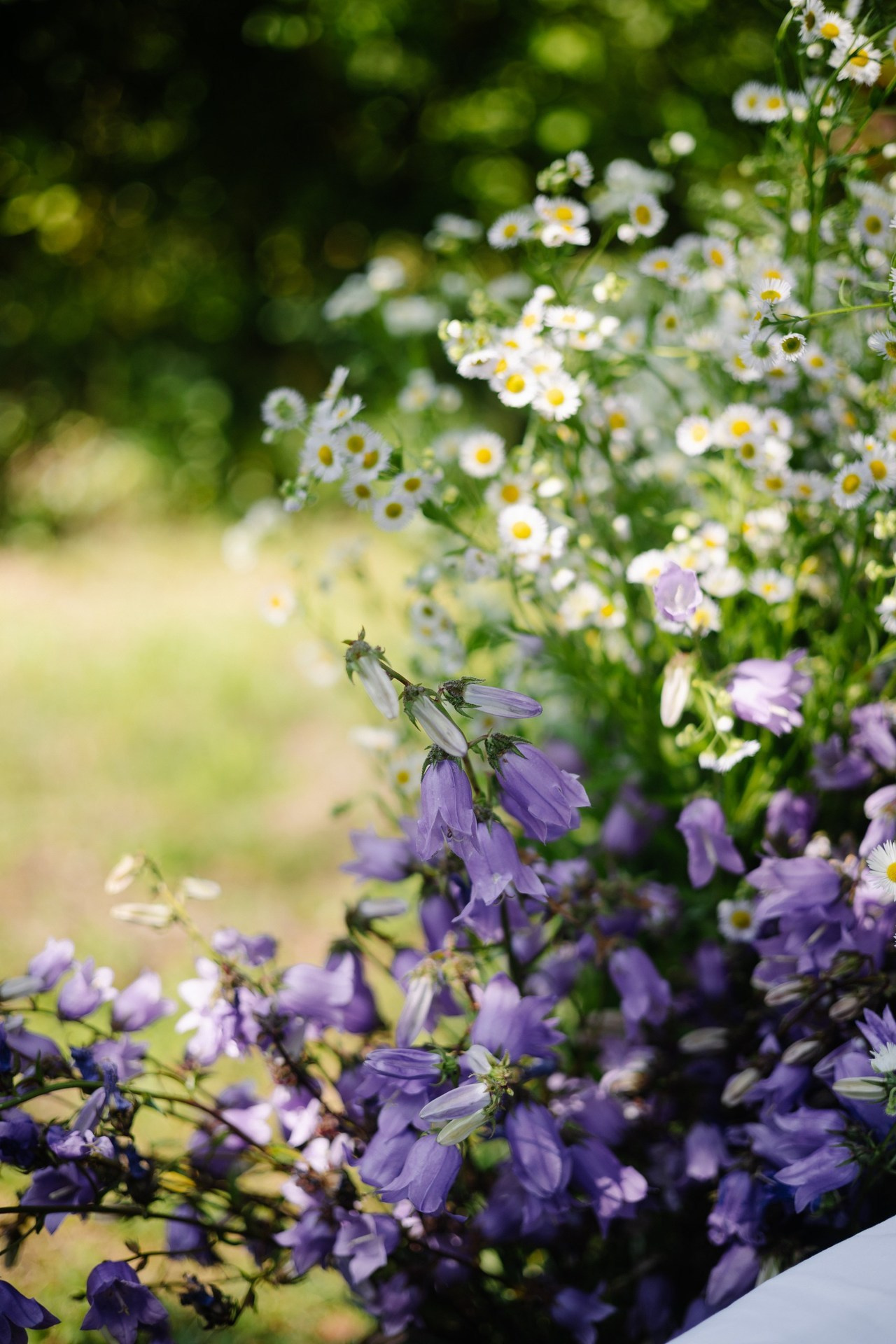 Отзывы. Фотограф новорожденных и семей Туапсе Краснодарский край Анна Альтман