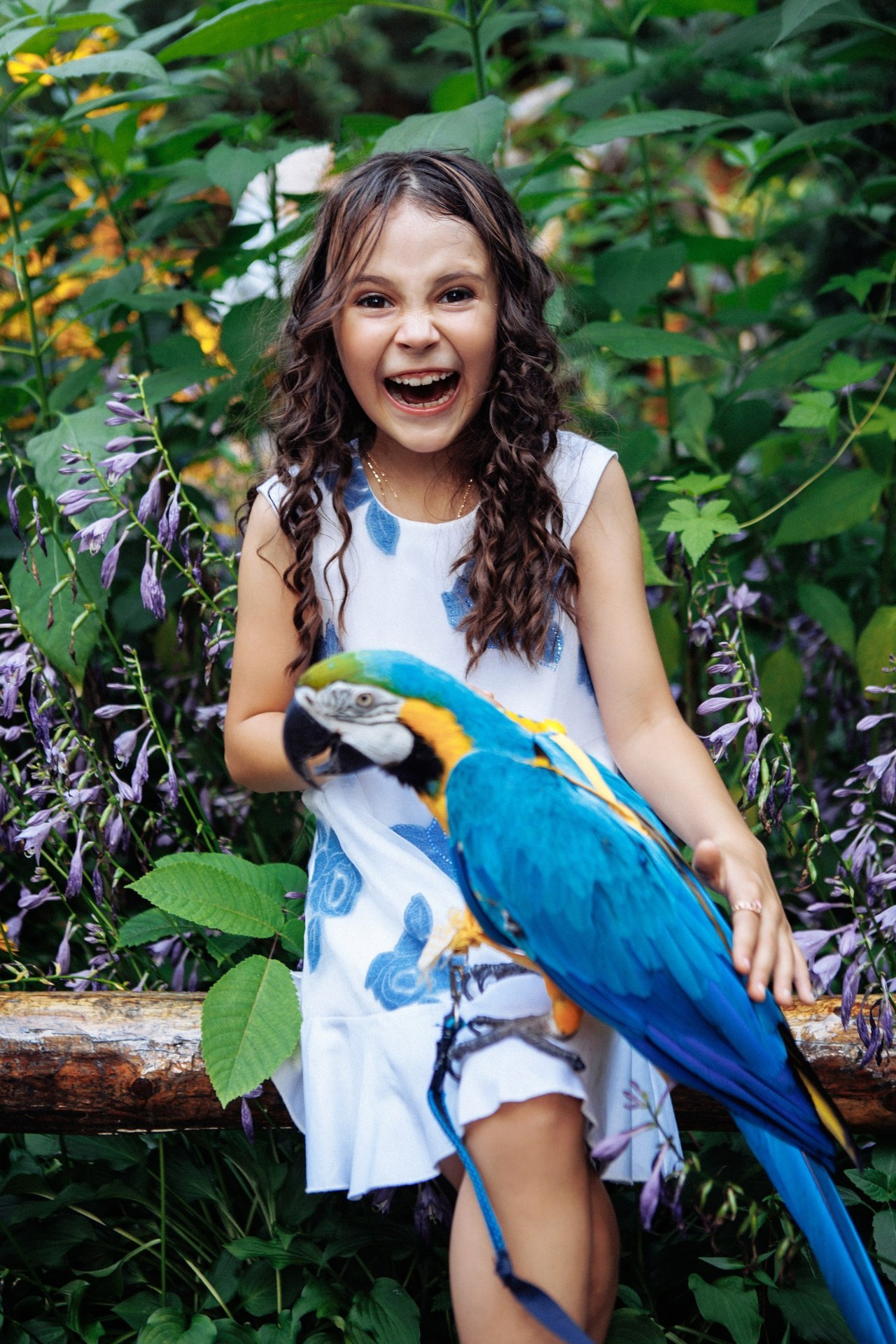 Отзывы. Свадебный фотограф Владивосток Алина Гевондова