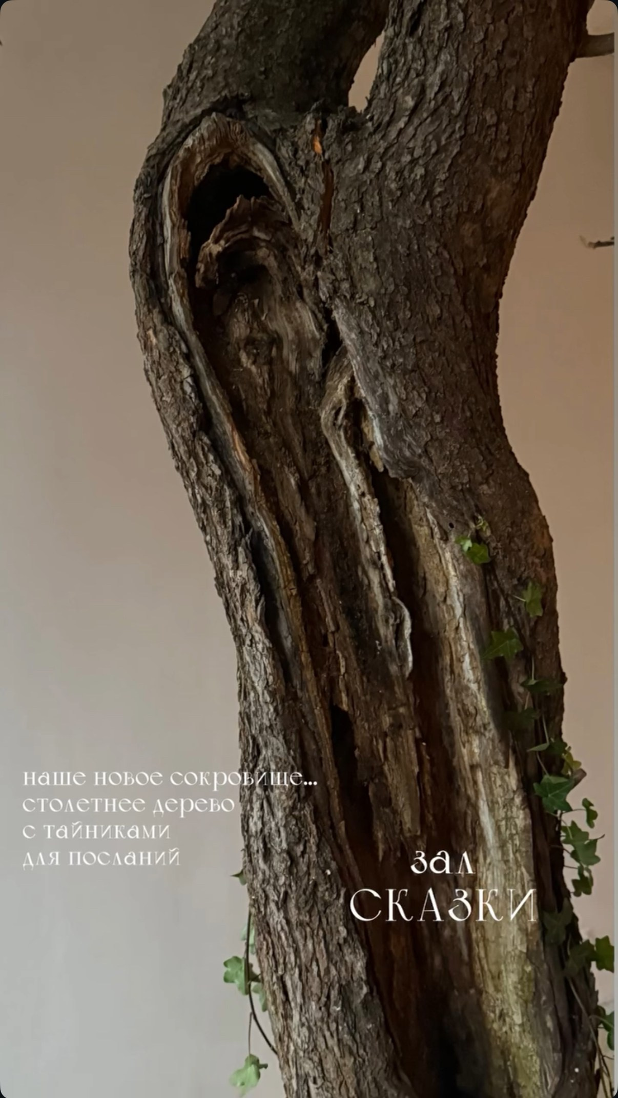 Фотостудия МОХ Зал Сказки. Фотограф Настя Лев