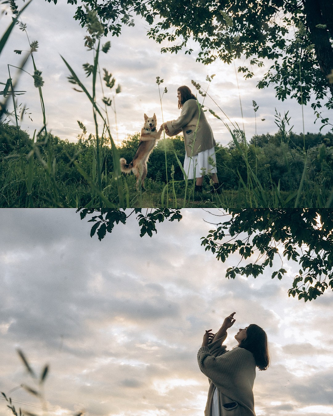 Соня и Кора. Фотограф анималист в Москве и Санкт-Петербурге Свиридова Анна