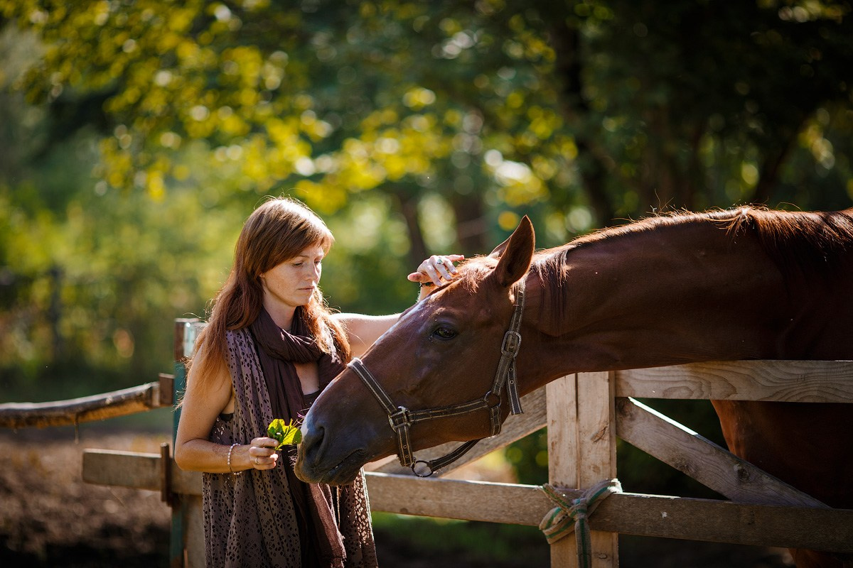 C лошадками 2019