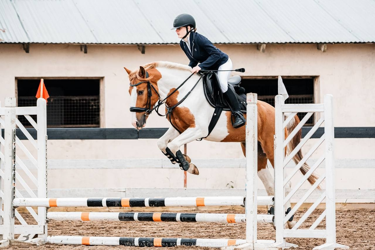 ОСЕННИЙ КУБОК КСК «СОЗВЕЗДИЕ» по КОНКУРУ. Конный фотограф Куракина Дарья • Фотосессии с лошадьми