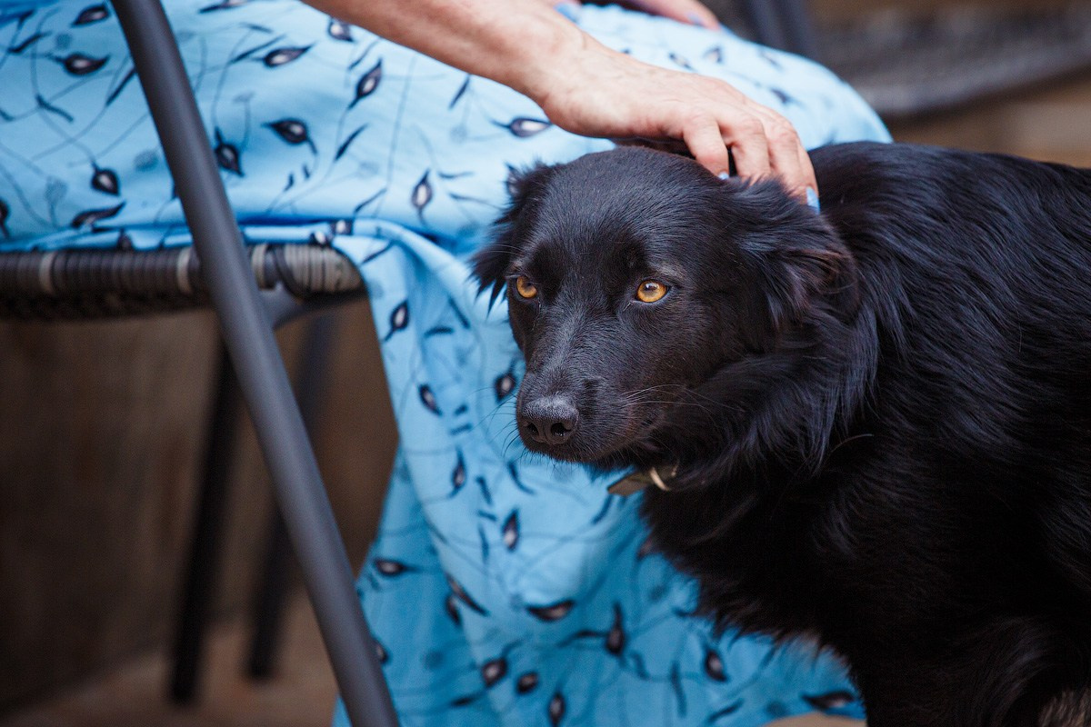 Музыка и покер