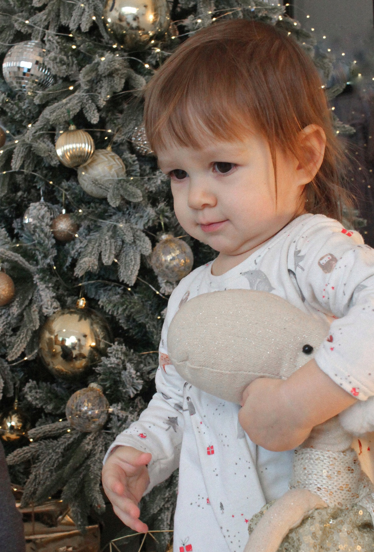 Юра и Анечка. Коммерческий фотограф. Ростов-на-Дону. Дарья Константинова