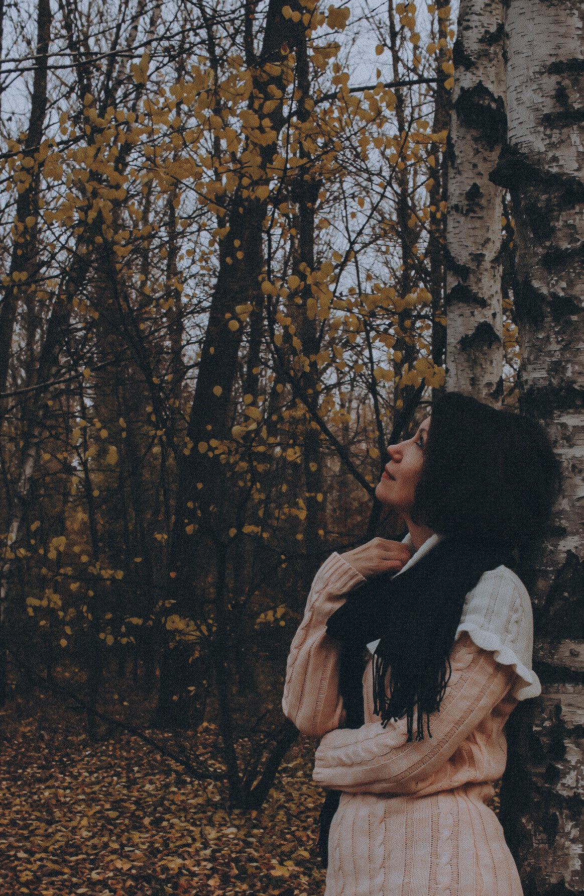 В лесу. Коммерческий фотограф. Ростов-на-Дону. Дарья Константинова