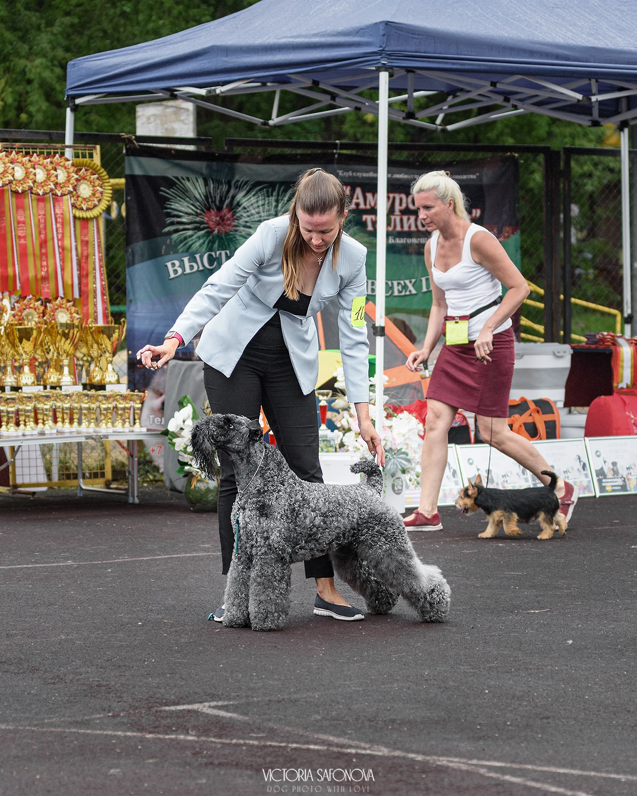 10 августа 2024. Благовещенск. Фотограф анималист Благовещенск. Сафонова Виктория