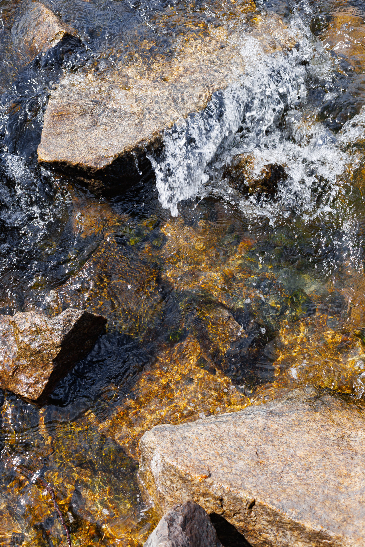 Фестиваль Street Food Russia. Заречный