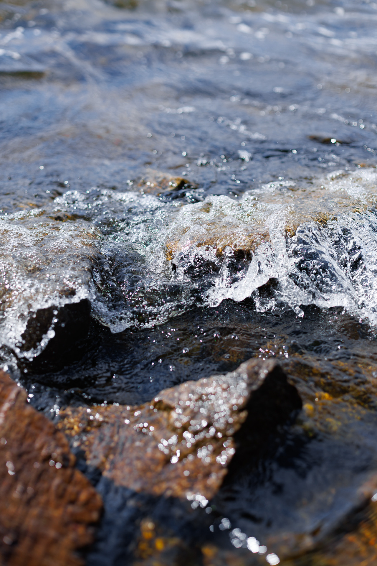 Фестиваль Street Food Russia. Заречный