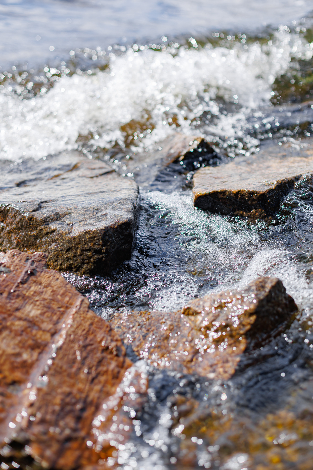 Фестиваль Street Food Russia. Заречный