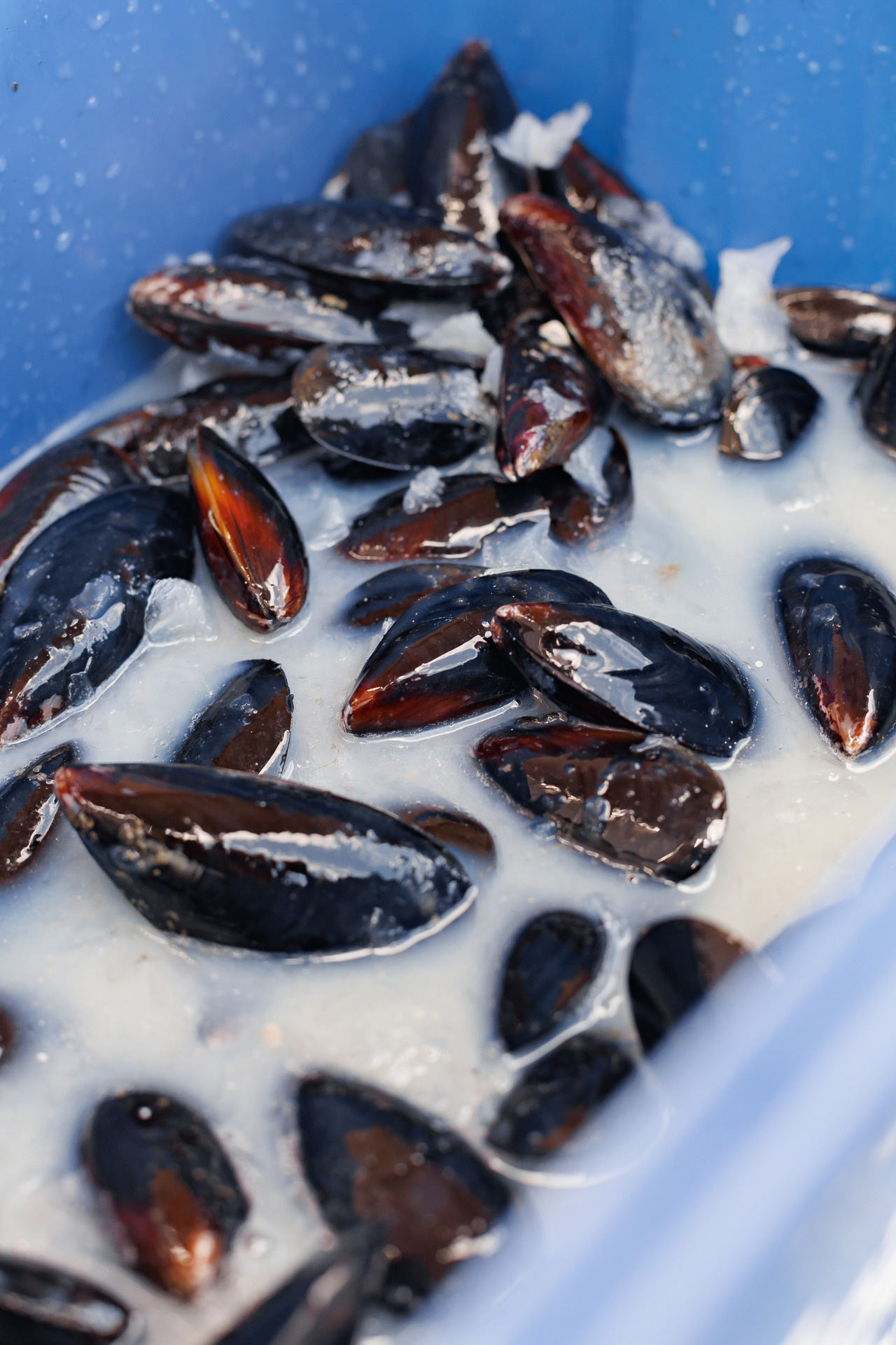 Фестиваль Street Food Russia. Заречный