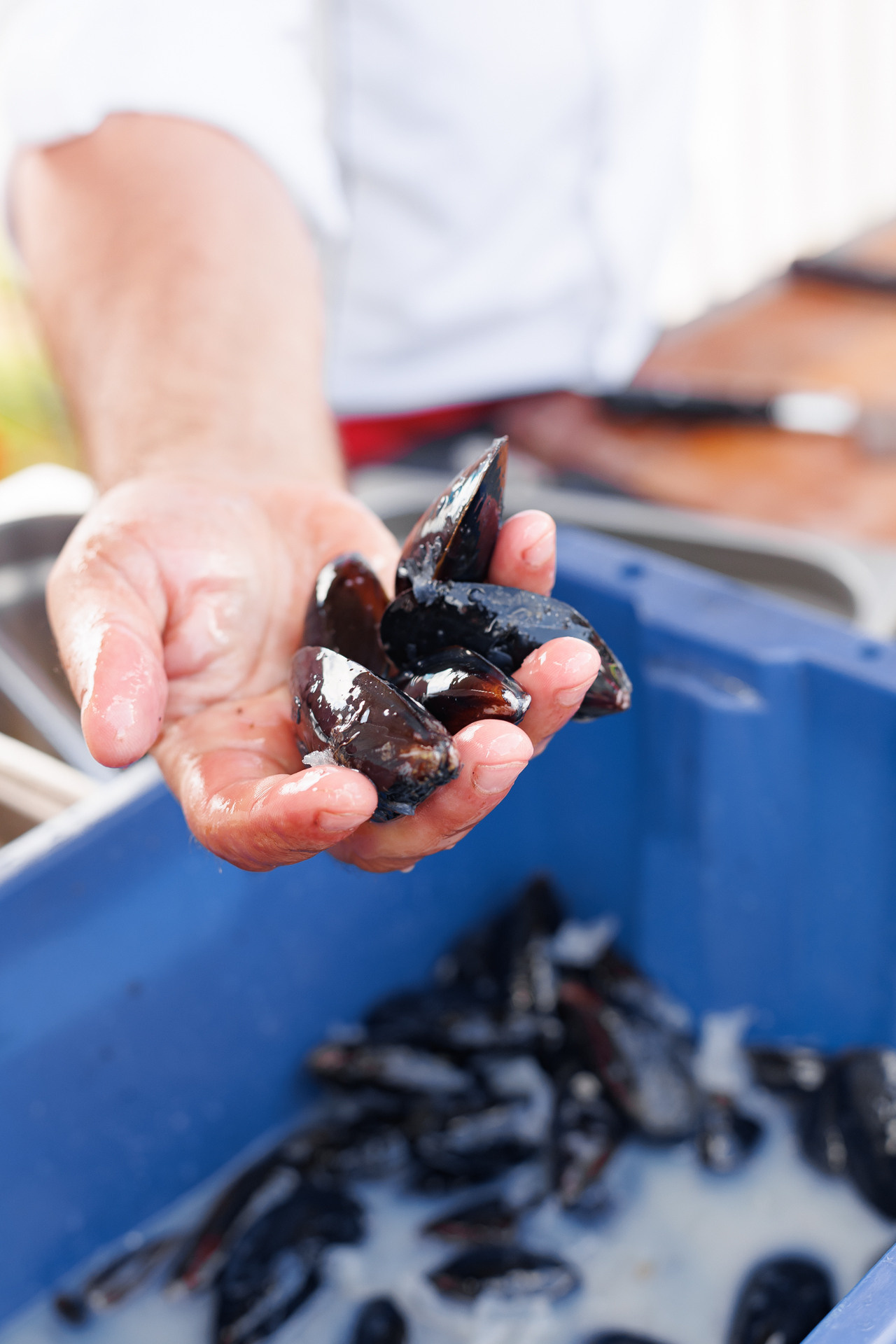 Фестиваль Street Food Russia. Заречный