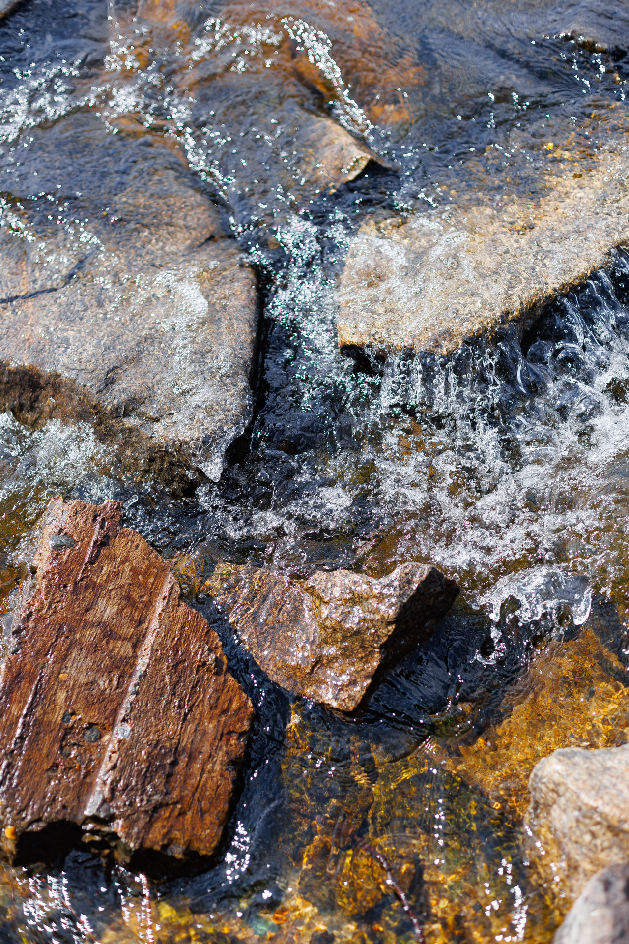 Фестиваль Street Food Russia. Заречный