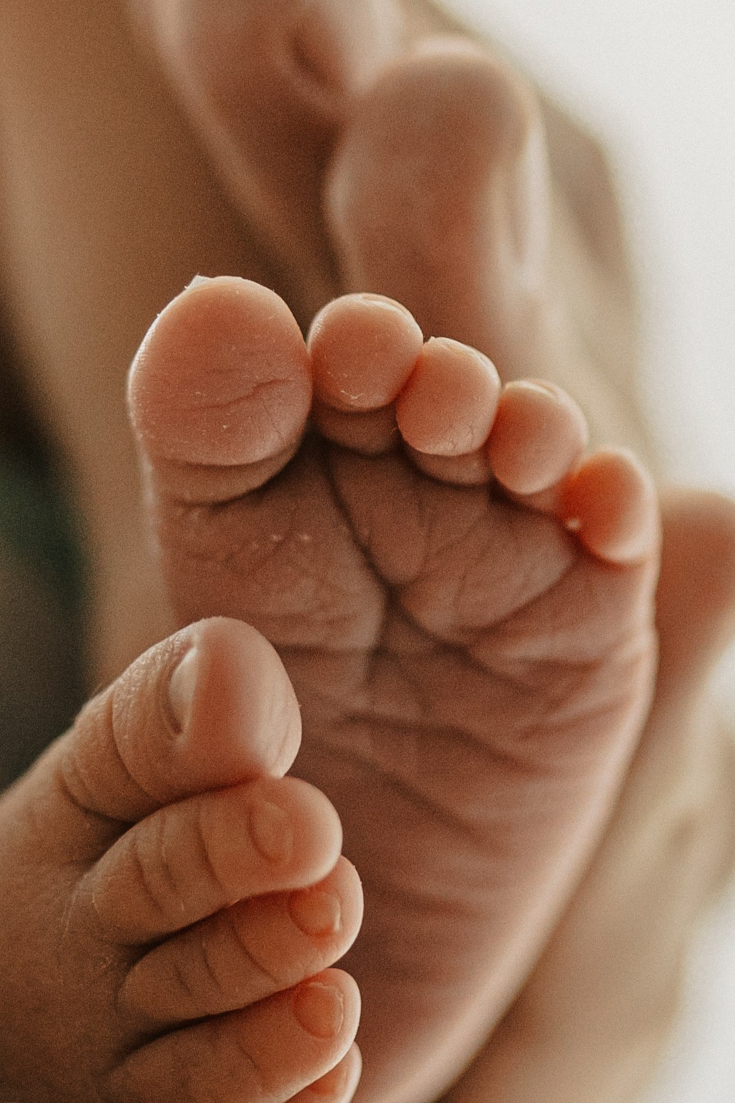 Элина, Рома, Майя. Семейный фотограф Москва