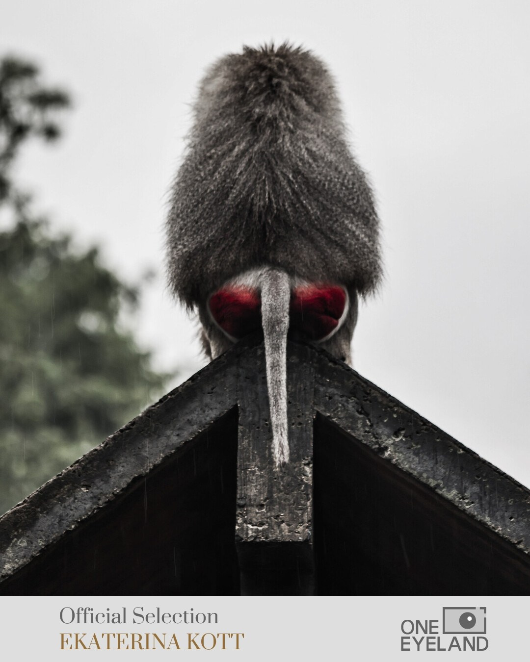 One Eyeland. Art Рhotographer Russia/Moscow