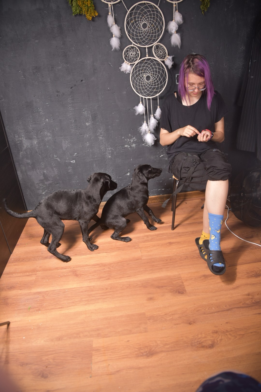 Лабродобрики. Фотограф Евгений Симохин