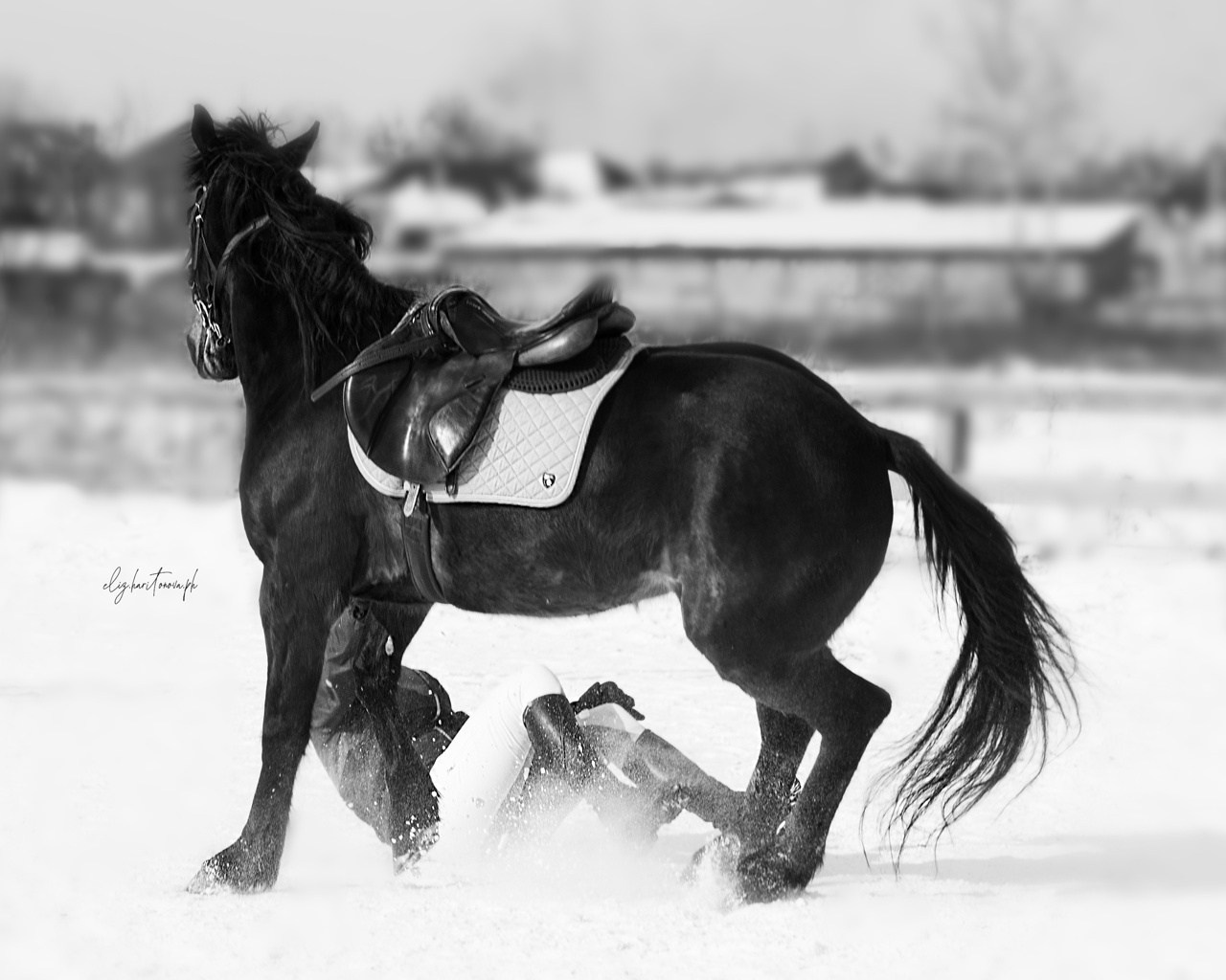 Соревнования. Фотограф в Иркутске, Харитонова Елизавета