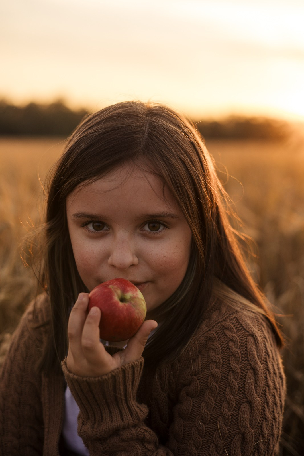 Семья в поле. Фотограф в Москве и Домодедово Ирина Коростелева
