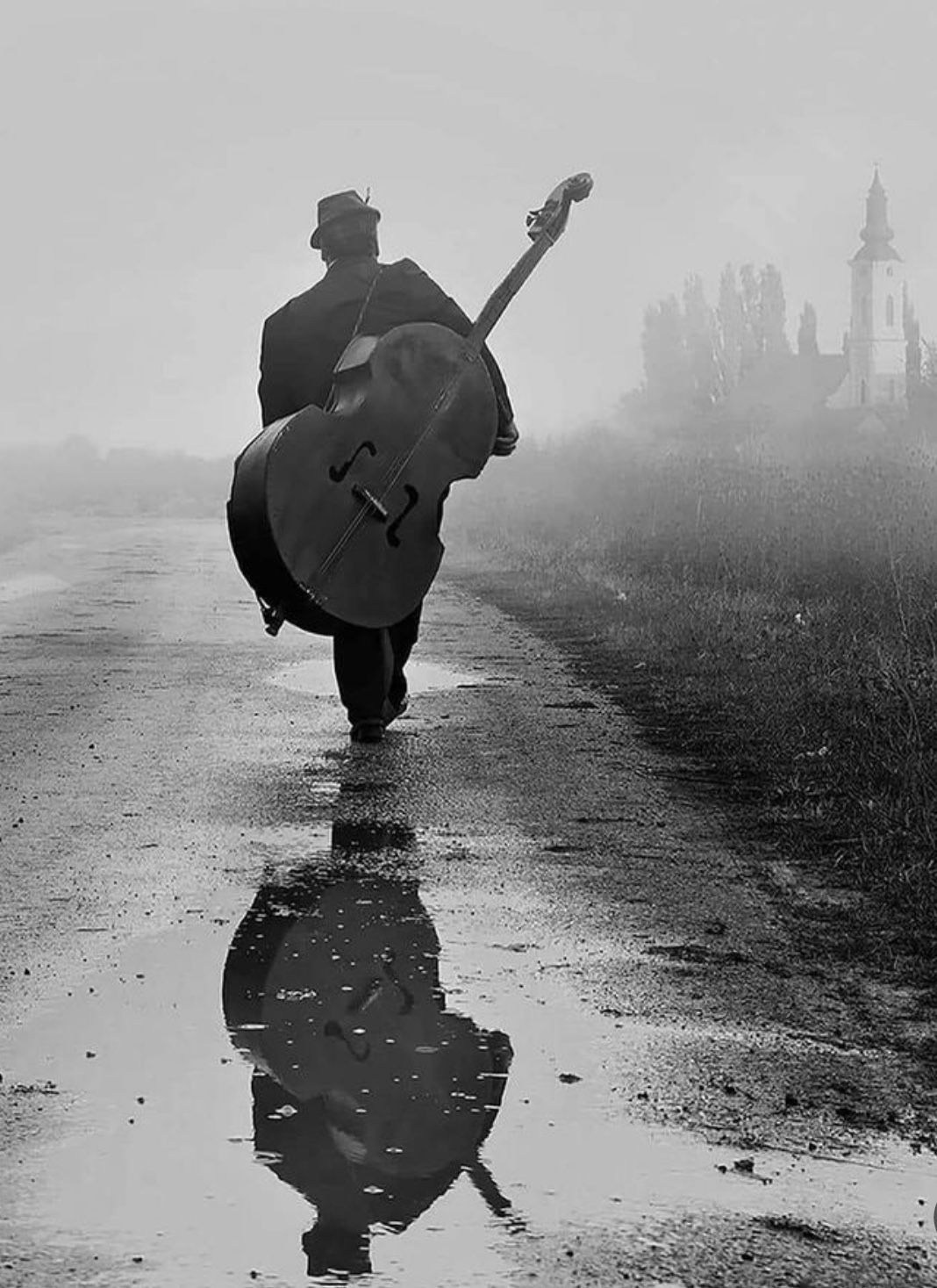 Духовые инструменты. Фотограф для маркетплейсов Михаил Бове