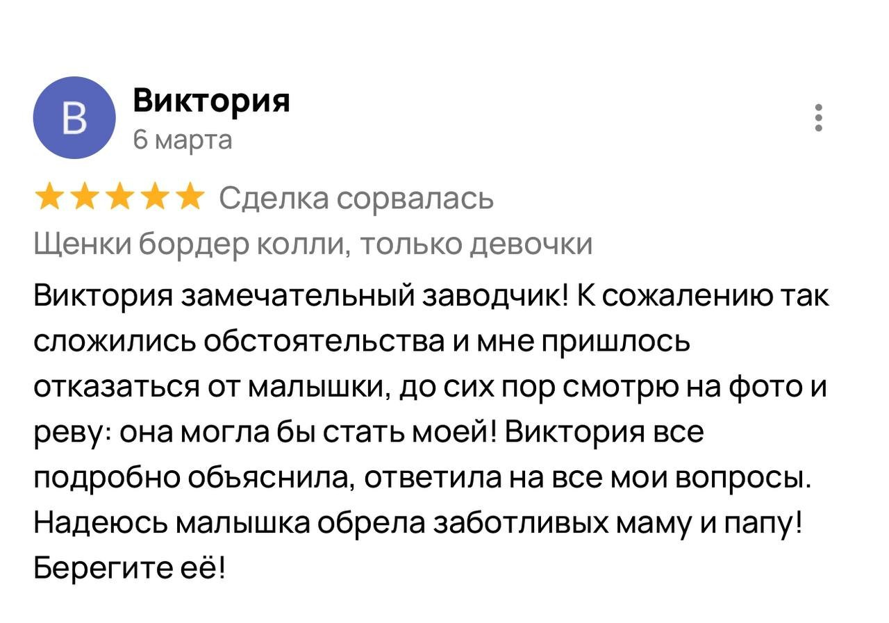 Фритсвит. Семейный фотограф Ефремова Виктория