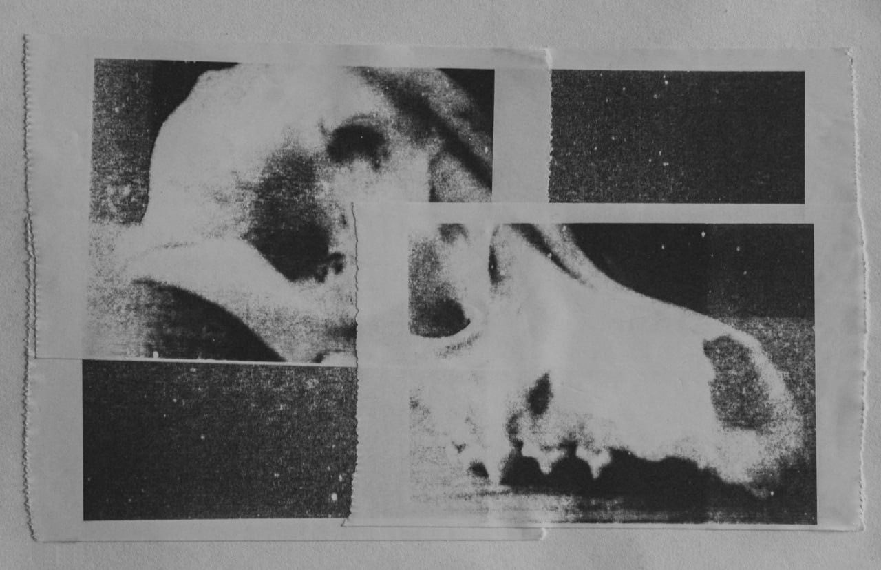 Марафон «Формула креативности». Женский семейный фотограф Тула Москва Захарова Анна