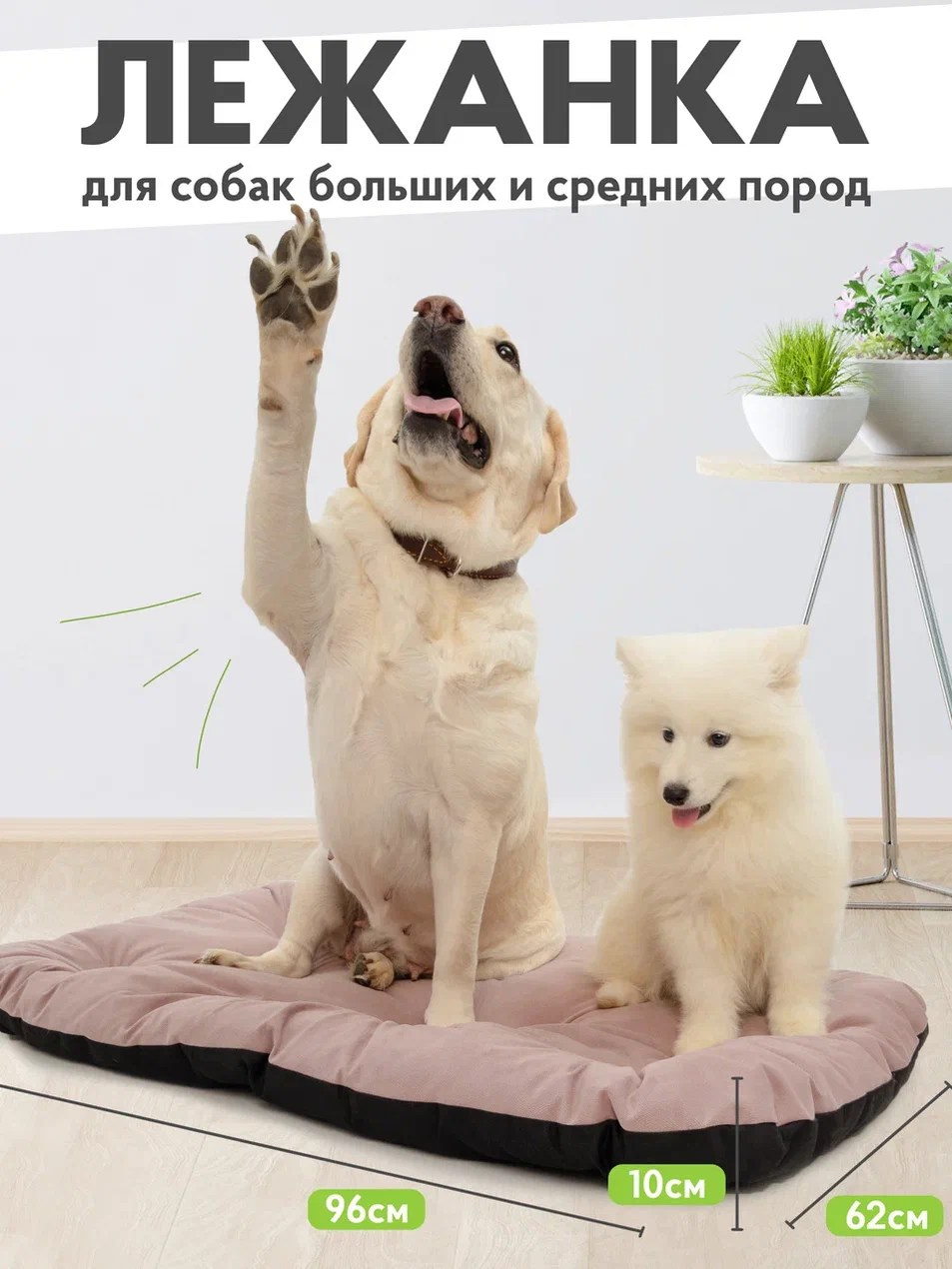 Инфографика. Предметный фотограф в Воронеже Дмитрий Игнатов