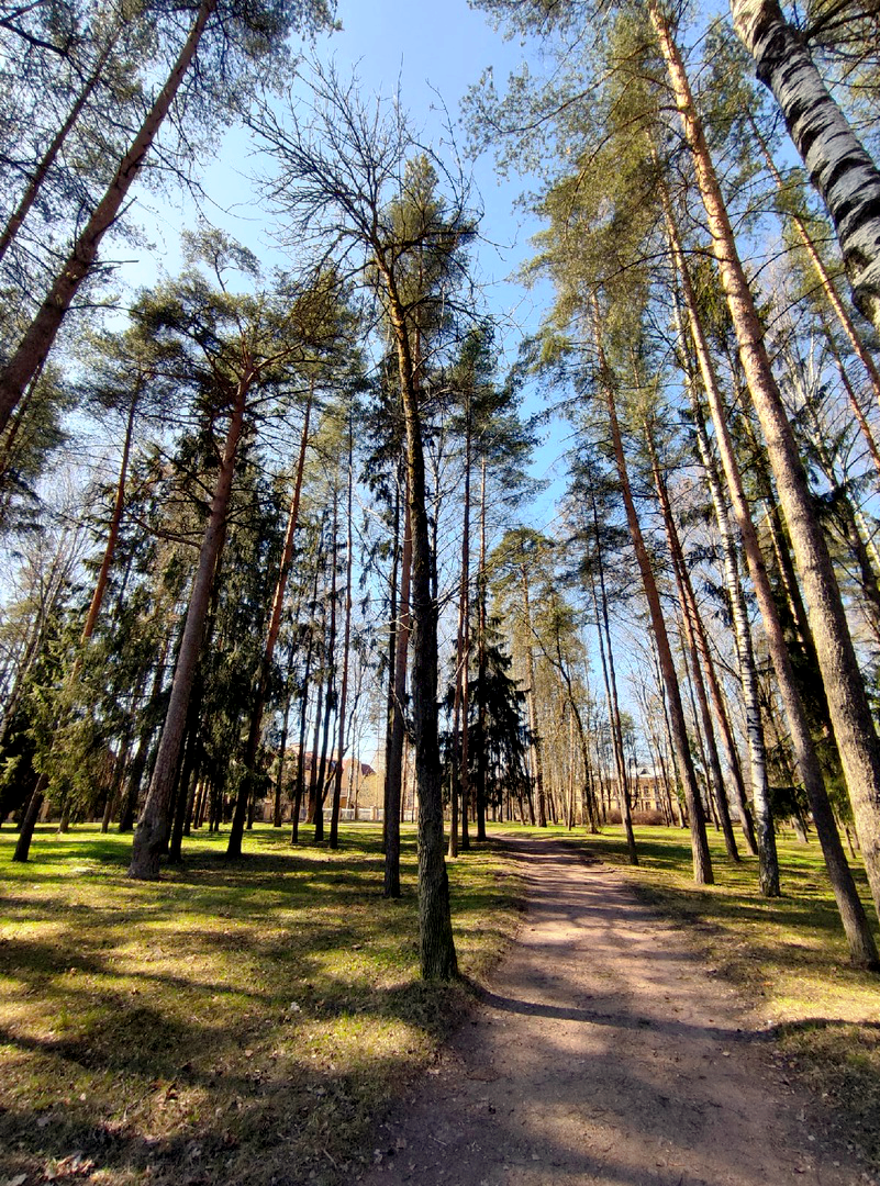 Экскурсия «Садовая улица города Павловска» (30.04.2022) Автор: Евгения Лебедева